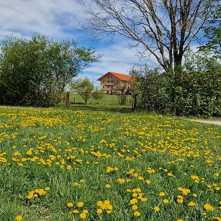 Stadlerhof Alpen- & Seeblick Lägenhet *